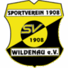 SV 08 Wildenau